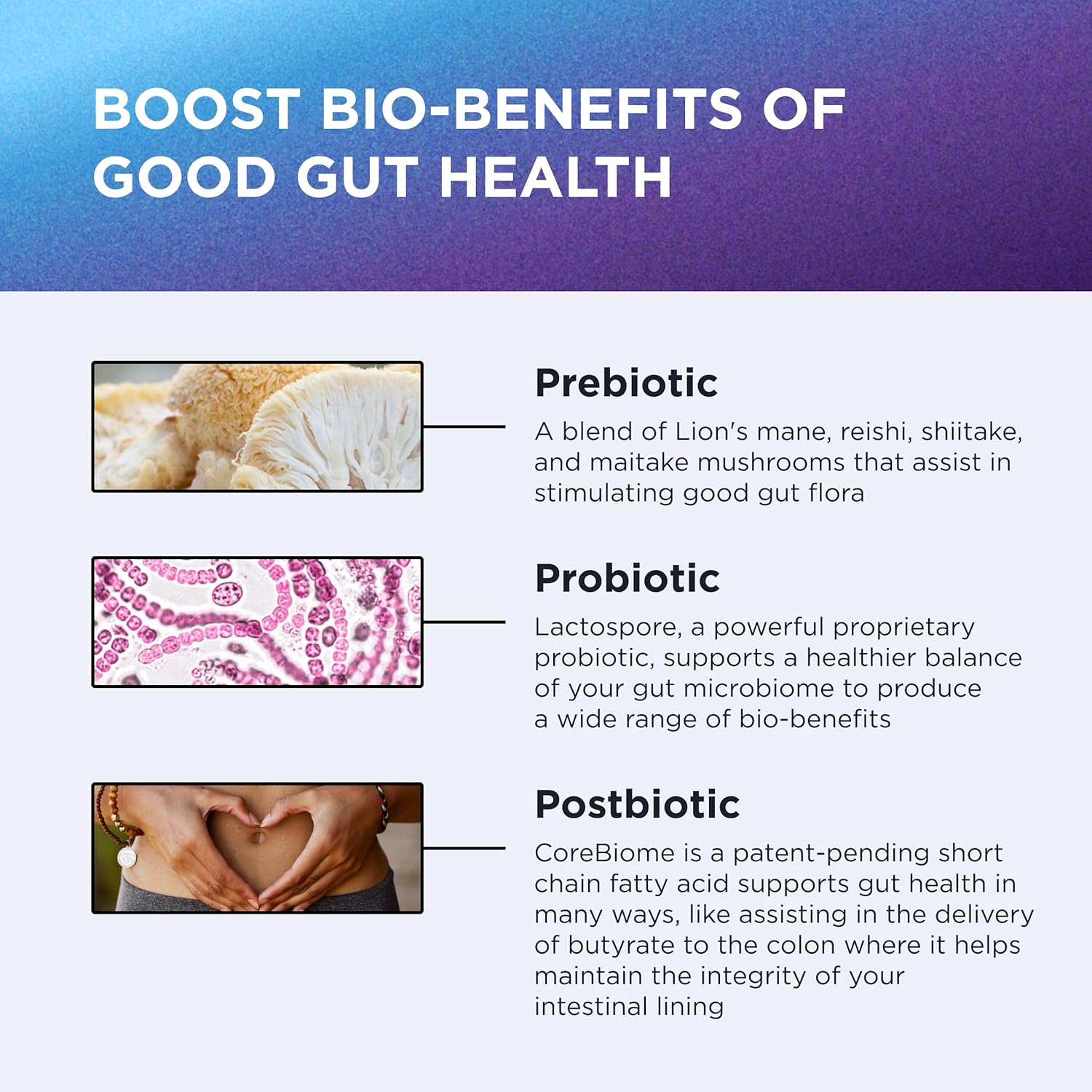 DR. EMIL NUTRITION Total Gut Health Complex - Prebiotic, Probiotic & Postbiotic Supplement - Supports Digestive Health, Bloating & Gut Balance - Non-GMO & Soy-Free - 60 Capsules