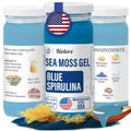 Biolore Sea Moss Gel - Blue Spirulina 16oz, Wildcrafted Irish Seamoss with Essential Vitamins & Trace Minerals, Vegan Superfood Made in USA
