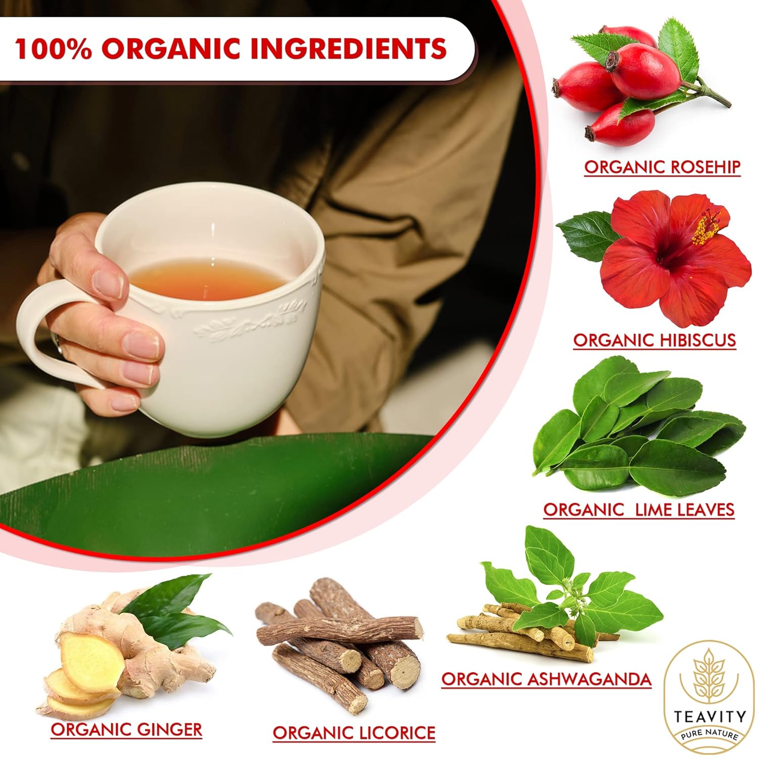 Organic Ashwagandha Tea Pods for Keurig with Ginger, Licorice, Organic Hibiscus Sabdariffa, Rosehip, & Lime - Decaf Herbal Tea - Energizing Tea by Teavity (24 Tea Pods)