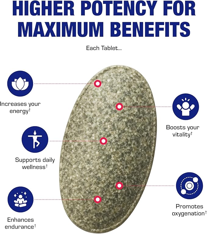 Slow Release Iron Supplement with Vitamin C - High Absorption Gentle Iron with Vitamin C for Women with Methyl B Complex for Maximum Benefits - Stomach Friendly Vegan & Made in The USA - 60 Servings