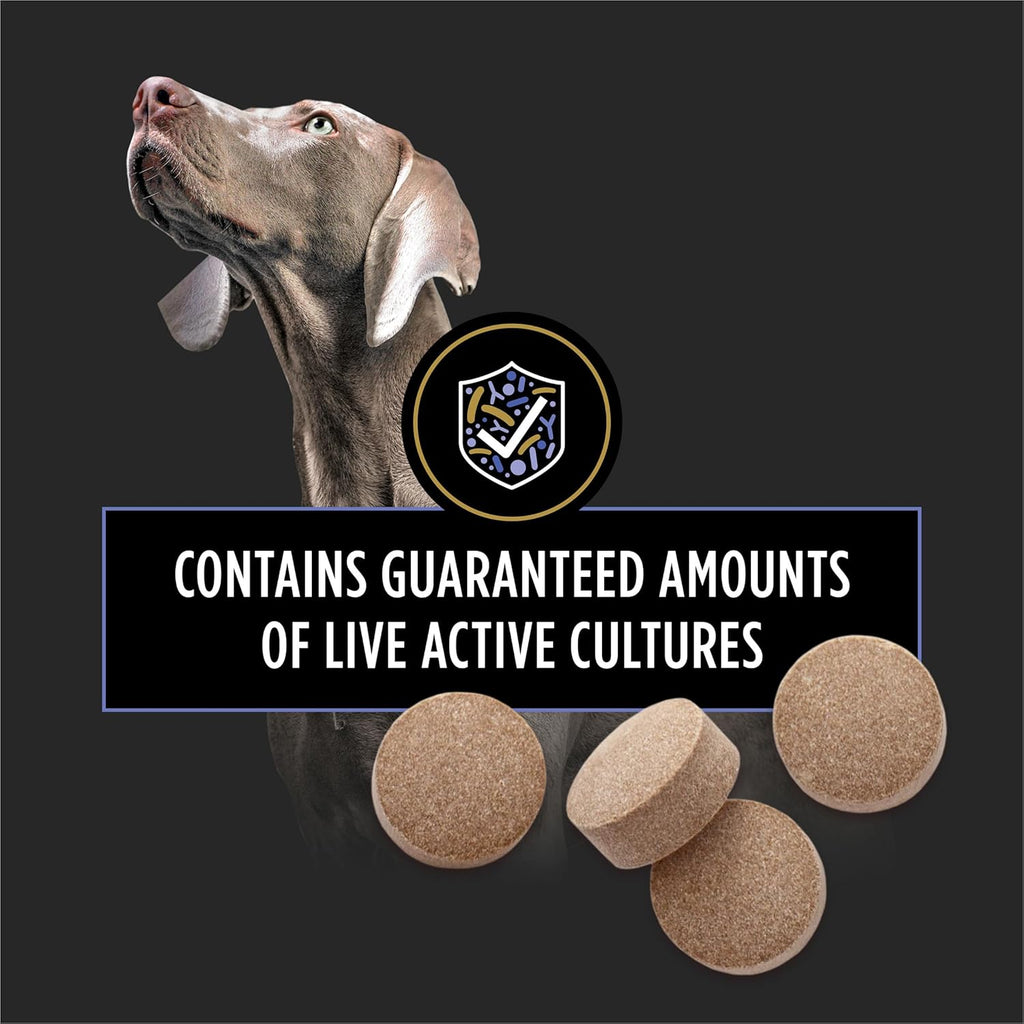 Purina Pro Plan Veterinary Supplements FortiFlora Probiotics for Dogs Chewable Tablets for Digestive Gut Health and Diarrhea - 45 ct. Canister