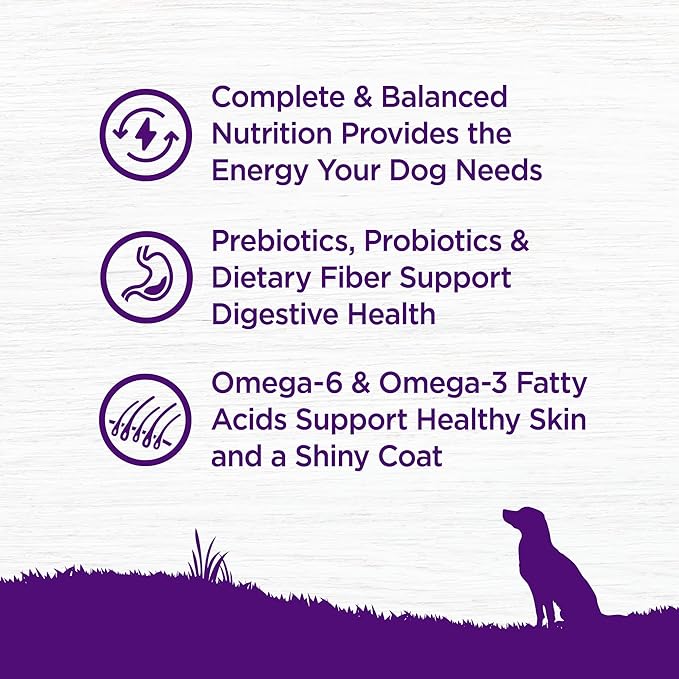 Wellness Complete Health Dry Dog Food, Wholesome Grains, Natural, Chicken & Oatmeal, (5-Pound Bag)