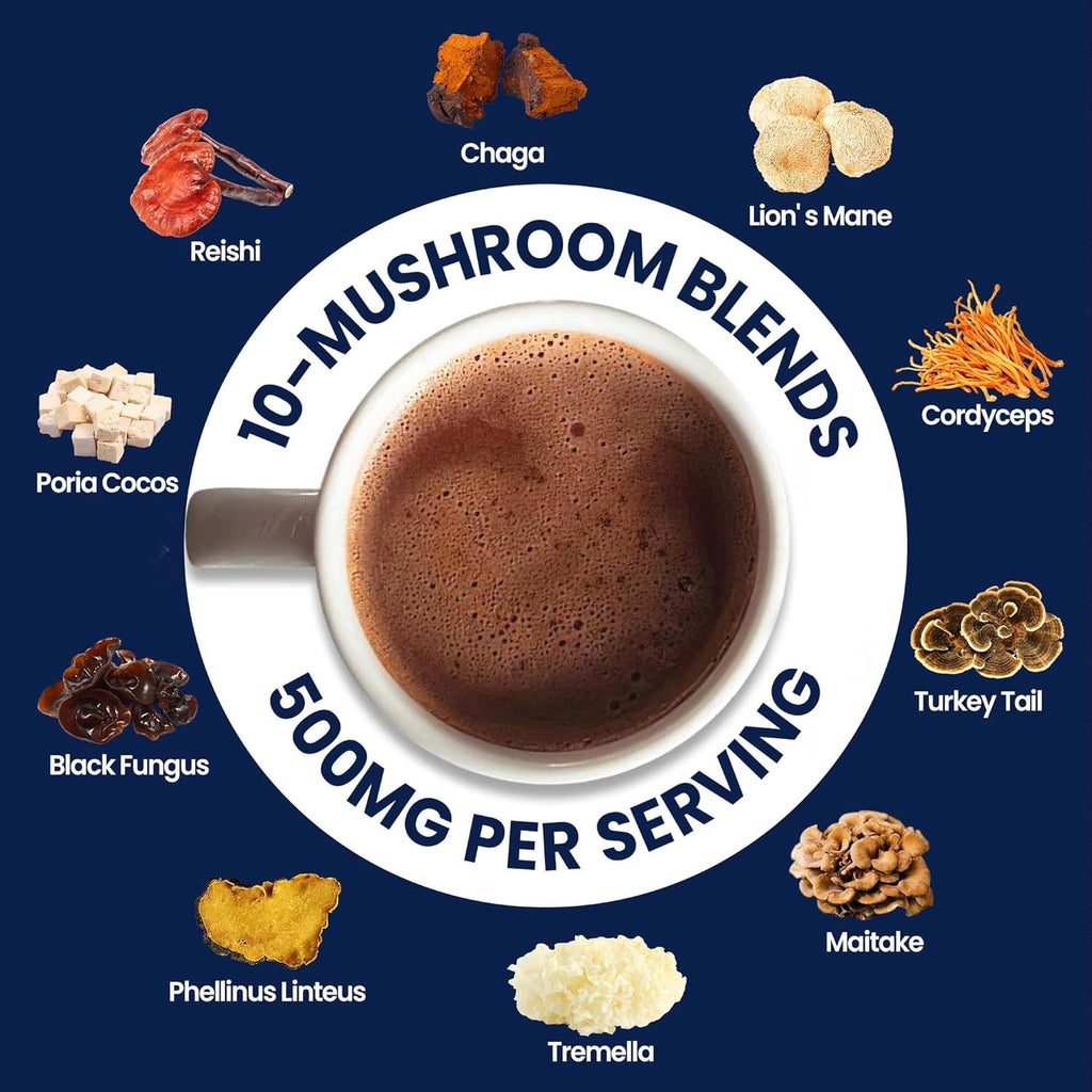 Mushroom Hot Chocolate, 50 Servings Cocoa Powder | 10 Mushrooms Supplements with Elderberry, Aloe Vera, Echinacea & Quercetin | Support Immunity, Gut & Stress Health | Vegan & Keto, Gluten-Free