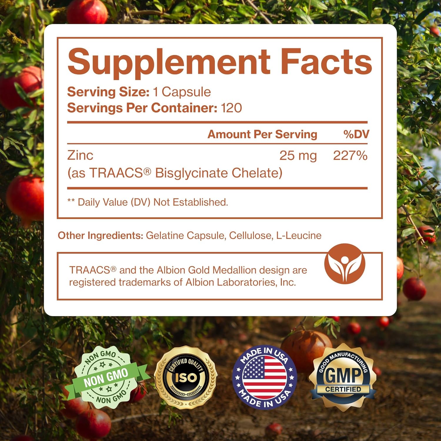 Pure Zinc Supplement 25mg - TRAACS Bisglycinate Chelate - 120 Capsules for Immune Support, Skin Health & Energy - for Men & Women