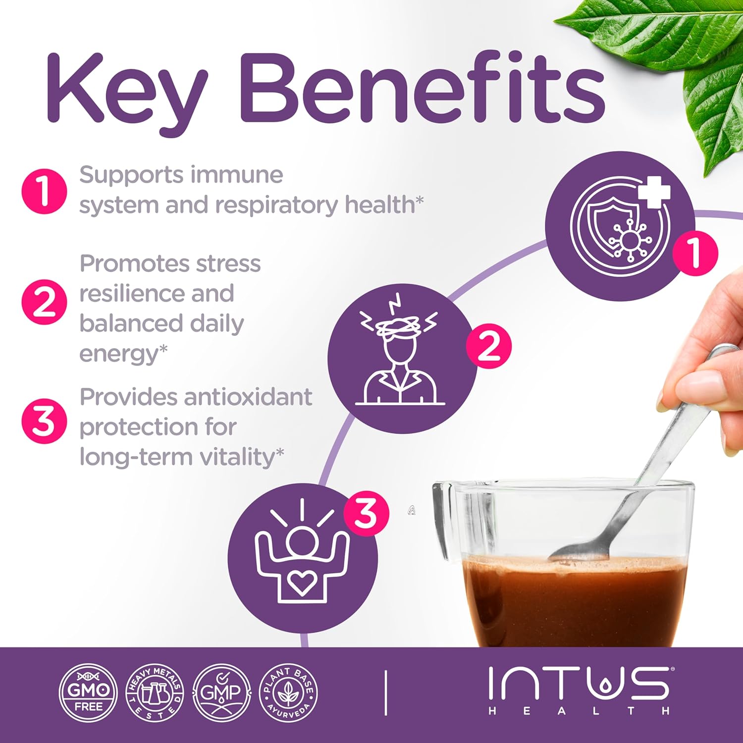Intus Vitality – Ayurvedic Herbal Blend with Holy Basil, Cinnamon, Black Pepper & Ginger – Adaptogenic and Antioxidant Herbal Supplement for Vitality & Wellness – 3.5 oz