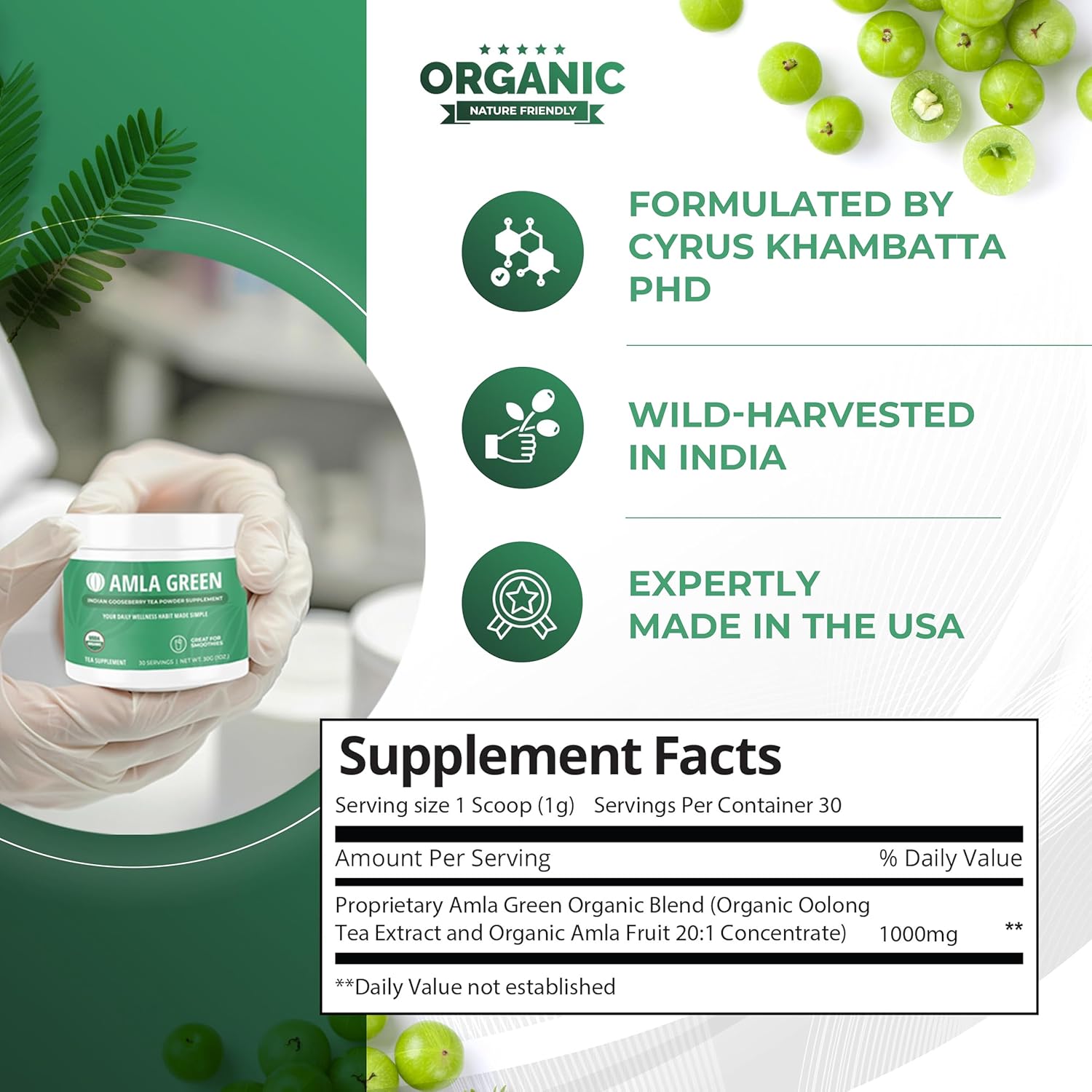 Amla Powder & Green Tea Superfood Supplement, 20x Ultra Concentrated Amla, Antioxidant Support, Made with Oolong Tea and Indian Gooseberries, Organic, Vegan, Classic Flavor, 90 Servings