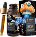 Cordyceps Mushroom Extract Liquid Fantastic Fungi Energy Elixir, 4-in-1 Vitality and Stress Support Supplement w/ Ginseng, Turkey Tail, Rhodiola - 100% Organic & Natural, 30 Servings, 1 fl oz
