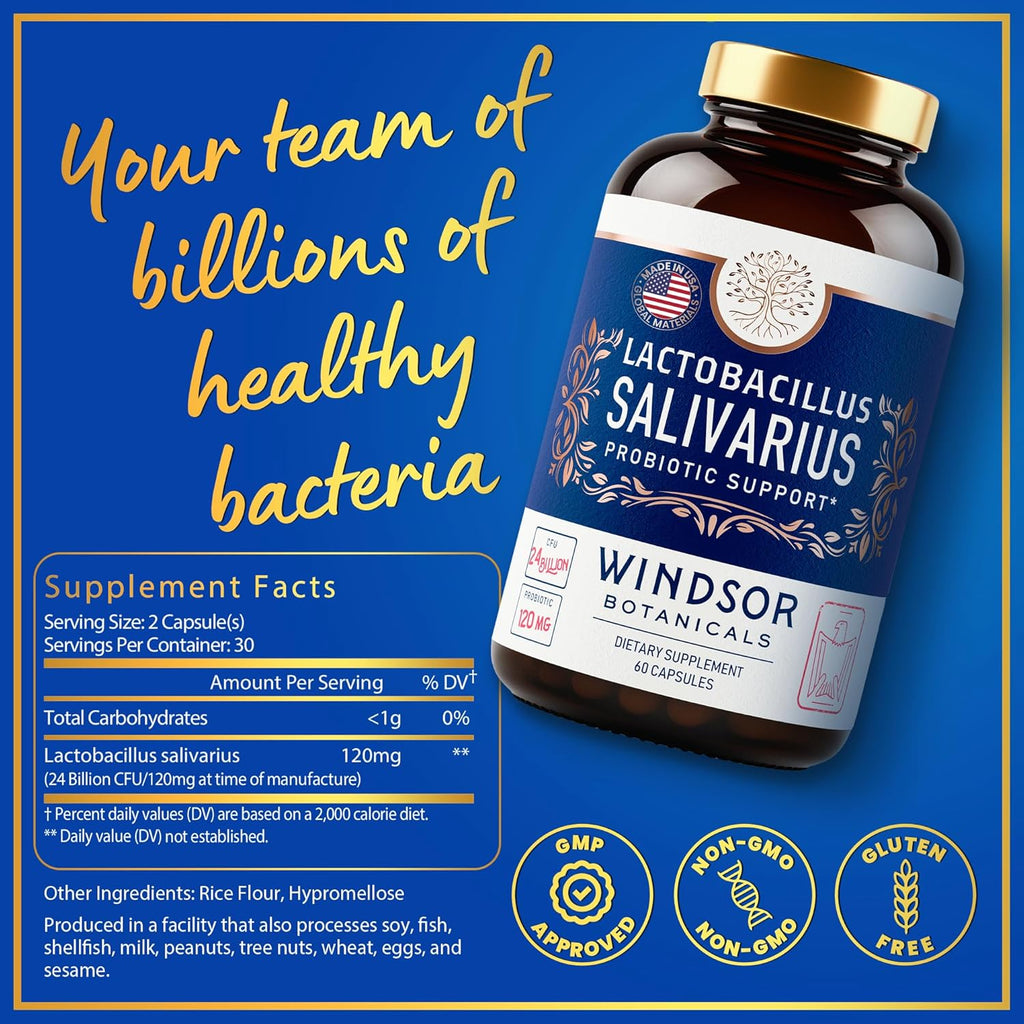 WINDSOR BOTANICALS Lactobacillus Salivarius Probiotic Capsules - L Salivarius Probiotic Oral Dental Probiotics for Bad Breath, Teeth and Gums Health and Immune Support - 24bn CFU, 2-Pack 120 Caps