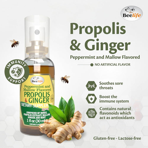 Beelife Propolis Throat Spray – Soothing Honey & Ginger Propolis - Natural Immune Support & Sore Throat Relief, Antioxidants, Rich in Flavonoids & Artepillin C, No Sugar, Gluten-Free - 1-Pack, 30ml
