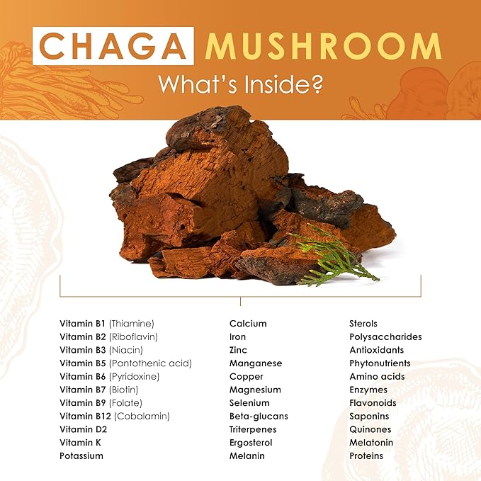 Chaga Mushroom Extract Tablets - 30g Monthly Supply - Dual-Extraction Fruiting Body - 35%+ Beta-glucans + Active Compounds - Wild Harvested Pure Birch Tree Grown - No Fillers or Additives