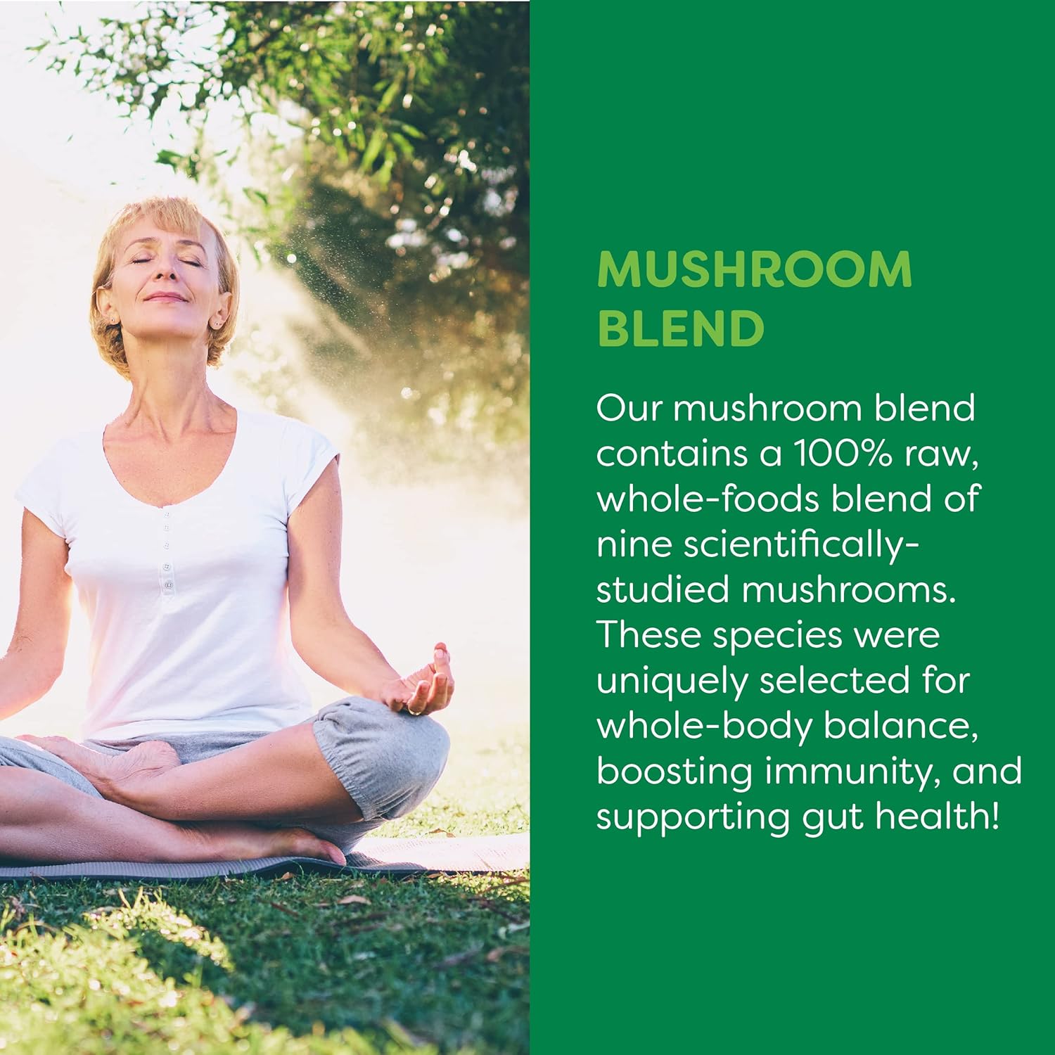 Global Healing Organic Mushroom Powder Supplement Blend 9.5 Ounces - Cordyceps, Chaga, Reishi, Turkey Tail Mushroom for Immune and Gut Health - Nootropic Focus Supplement Superfood