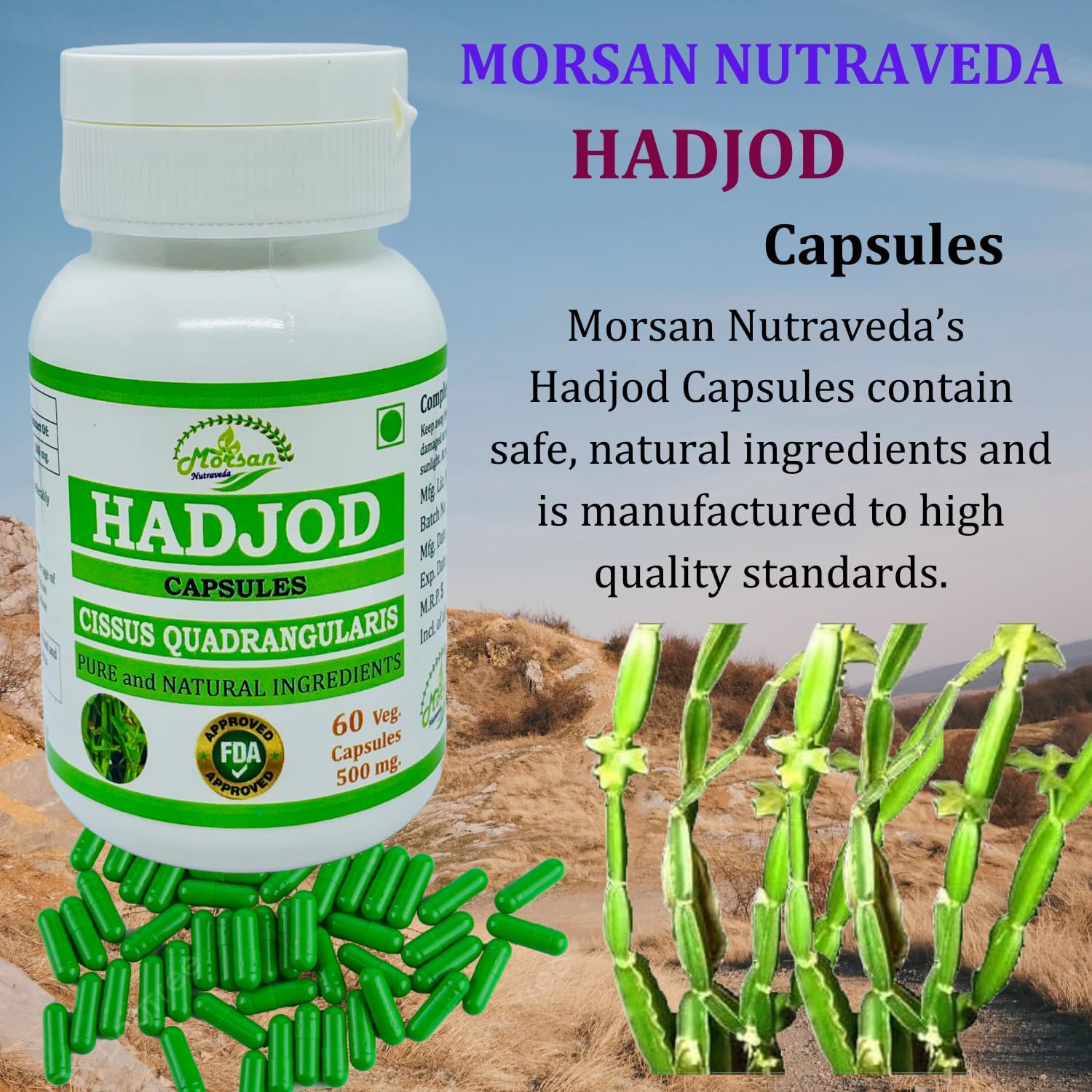 Hadjod (Cissus Quadrangularis) for Optimal Bone and Joint Health | 500 mg per Serving | 60 Vegetarian | Natural Support for Wellness | Non-GMO (2 Bottles of 60 9)