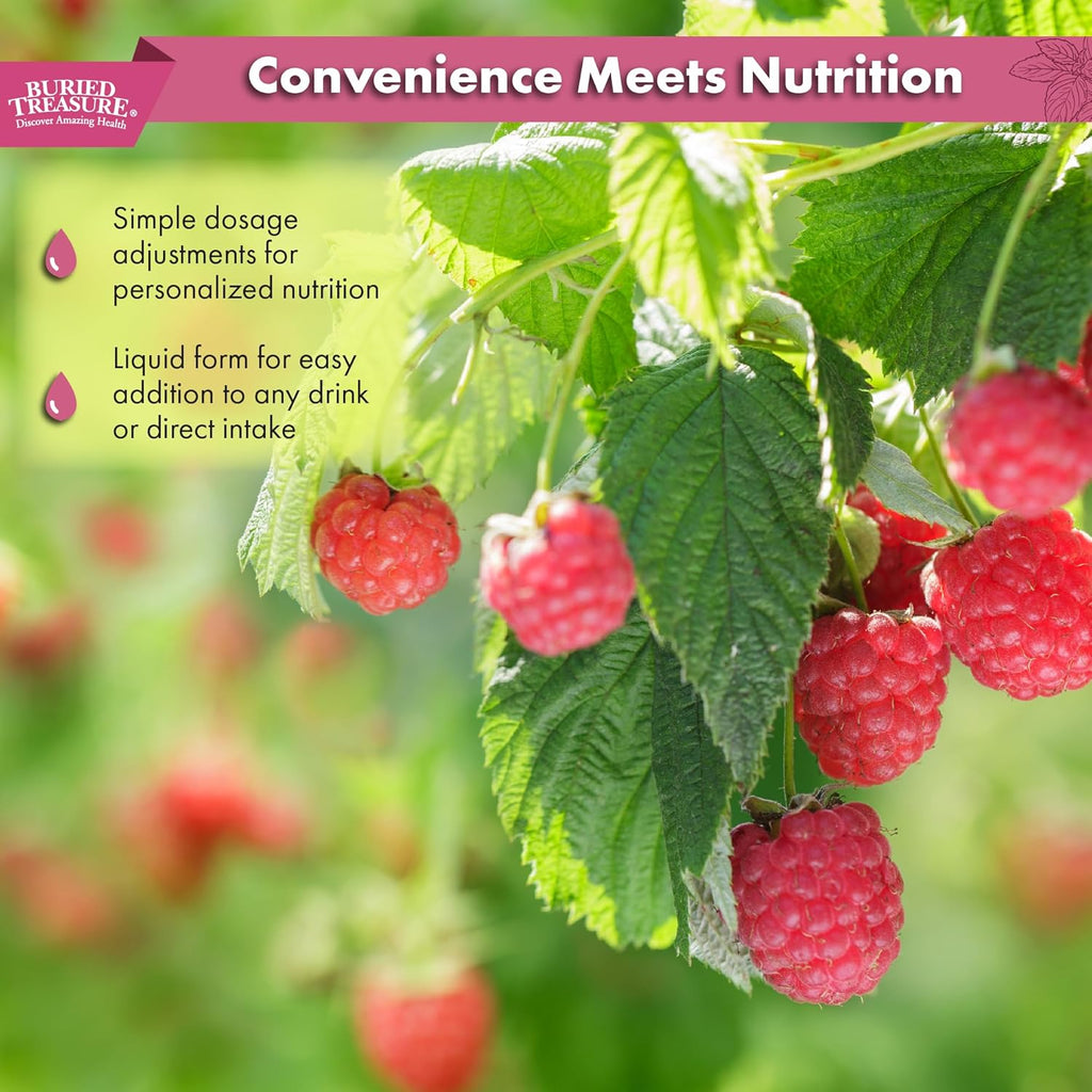 Buried Treasure Fulvic Mineral Complex - 32oz, Natural Raspberry Flavor with Over 70 Plant Derived Minerals Non-GMO Electrolyte Replacement Vegetarian Safe Daily Essential and Trace Minerals
