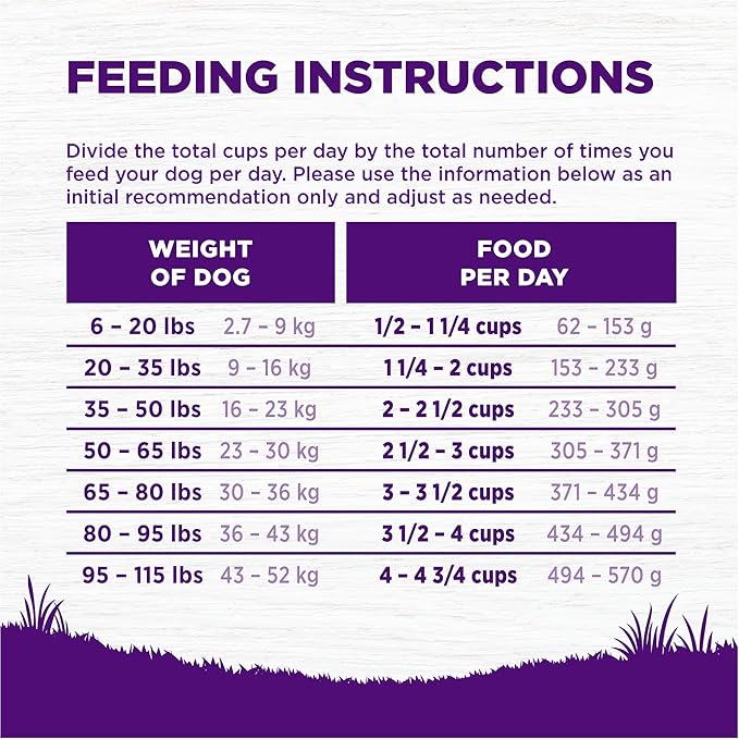 Wellness Complete Health Dry Dog Food, Wholesome Grains, Natural, Chicken & Oatmeal, (30-Pound Bag)