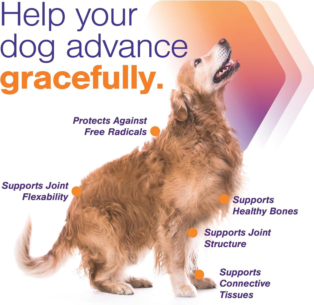 MOVOFLEX Advanced Soft Chews Hip and Joint Support Supplement for Small Dogs 120 Count by Virbac