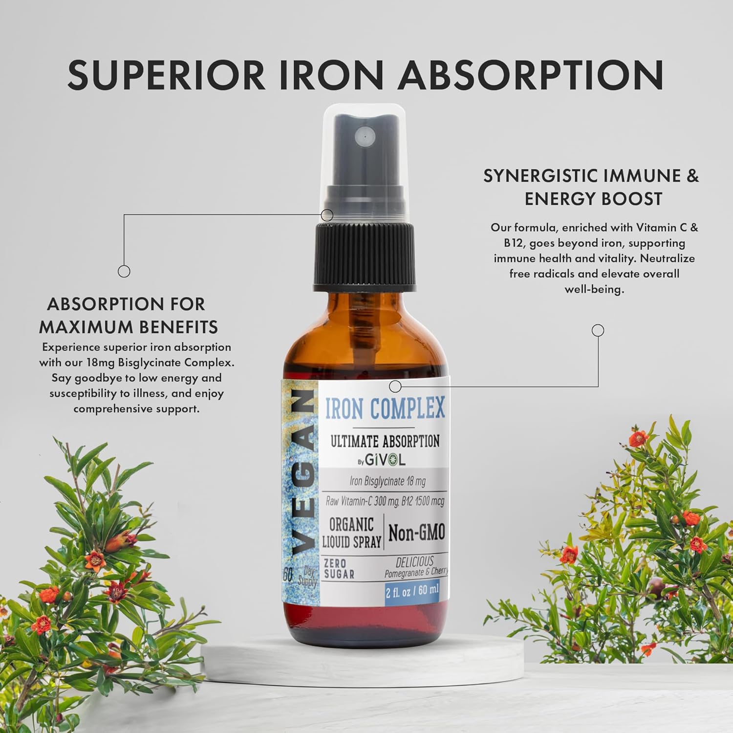 Iron Supplement - 18mg Bisglycinate Complex with Vitamin C & B12 for Energy & Immunity Boost, Vegan Liquid Spray, Optimal Absorption - Non-GMO, Sugar-Free, (60 ml) 60 Days Supply