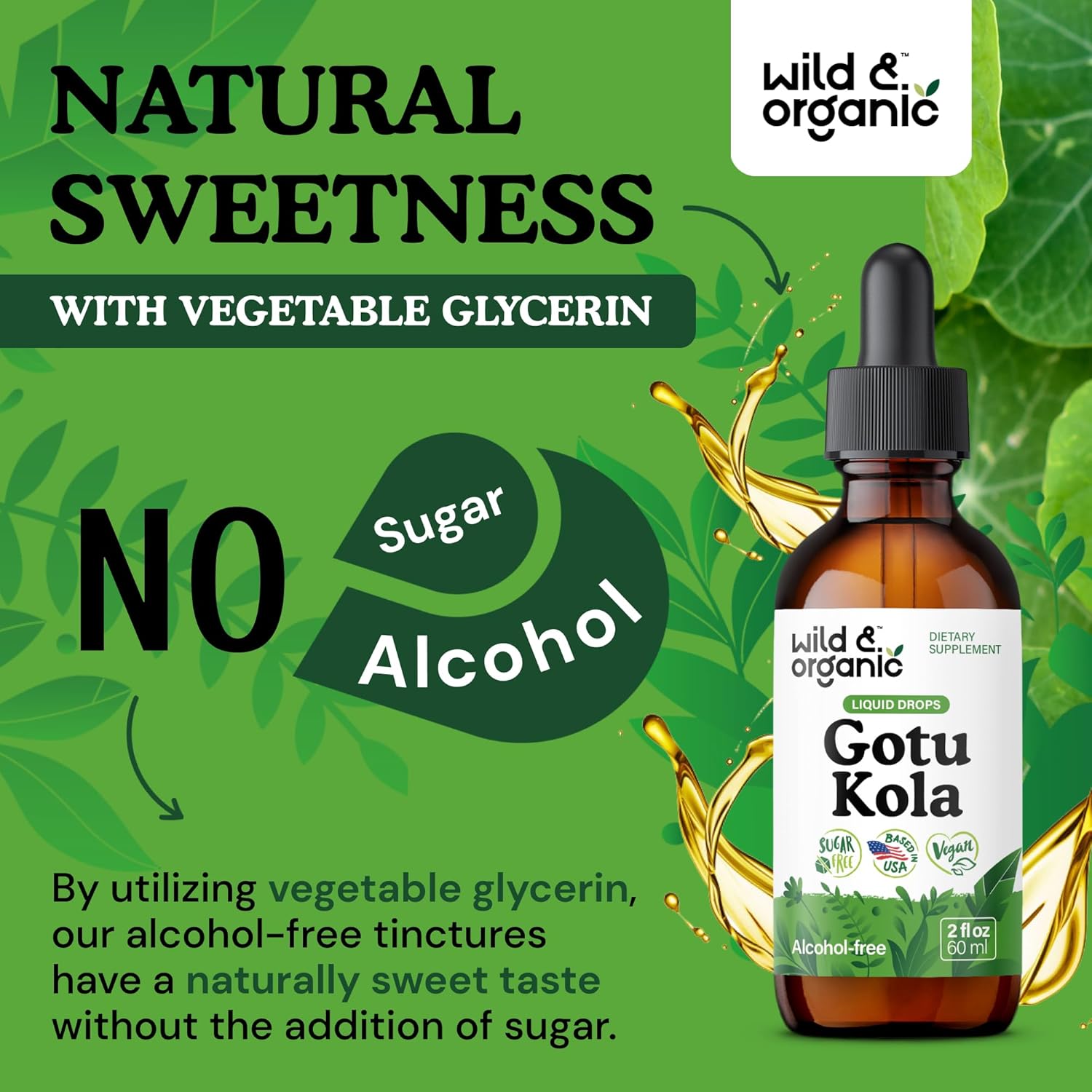 Wild & Organic Gotu Kola Herb Tincture - Brain Support - Gotu Kola Liquid Extract Drops - Vegan, Sugar & Alcohol-Free Centella Asiatica Supplement - 2 fl oz