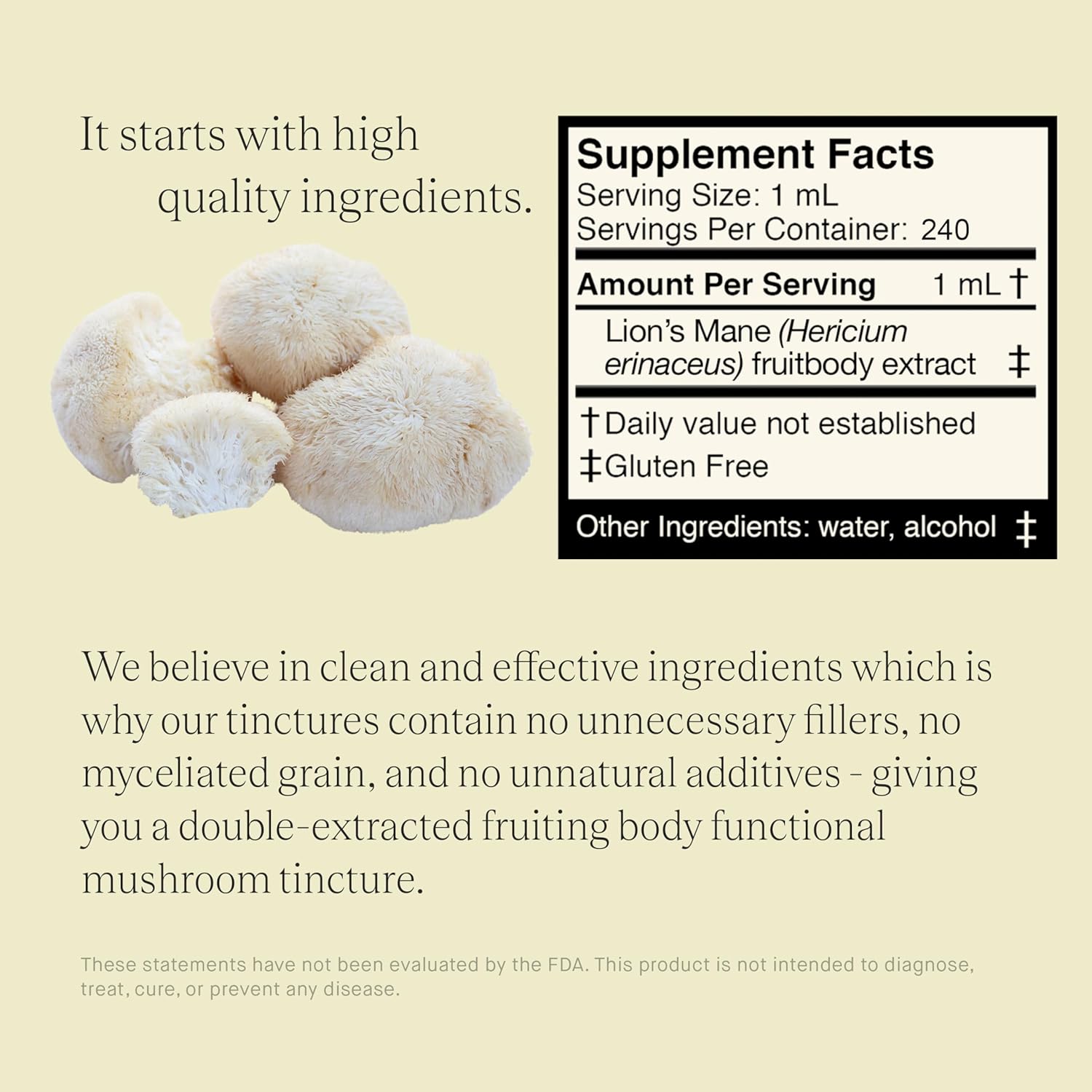 Lions Mane Extract - Double Extracted Fruitbody Mushroom Tincture, Natural Support for Mental Clarity, Brain Function, Memory, Cell Regeneration, Creativity & Mood (240 Servings)