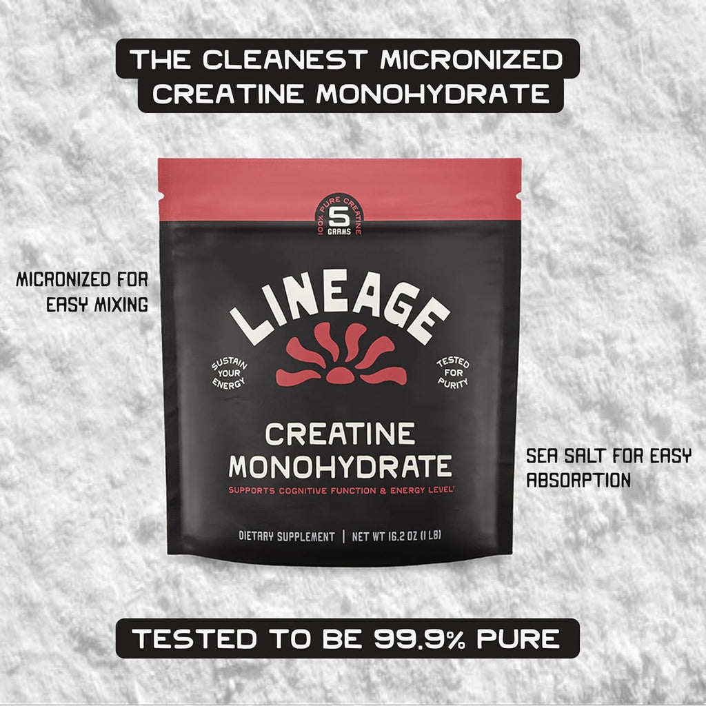 Micronized Creatine Monohydrate with Sea Salt - Micronized Creatine Powder for Training & Performance – No Artificial Ingredients – 90 Servings