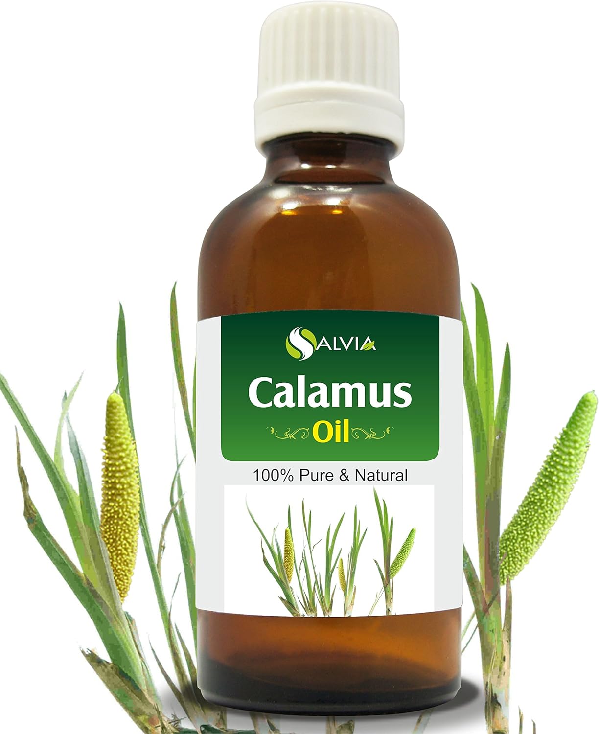 Calamus Oil (Acorus Calamus) Therapeutic Essential Oil by Salvia Amber Bottle Natural Uncut Undiluted Pure Cold Pressed Aromatherapy Premium Oil - 30ML/ 1.01fl oz
