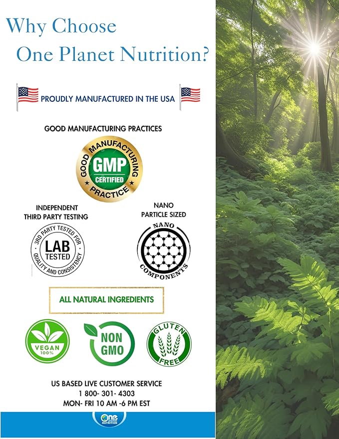 One Planet Nutrition Nano Curcumin 500 mg Veggie Capsules (240 Servings), Family Size, Nano for High Absorption, Supports Immune Health, Non-GMO, Vegan, Gluten-Free