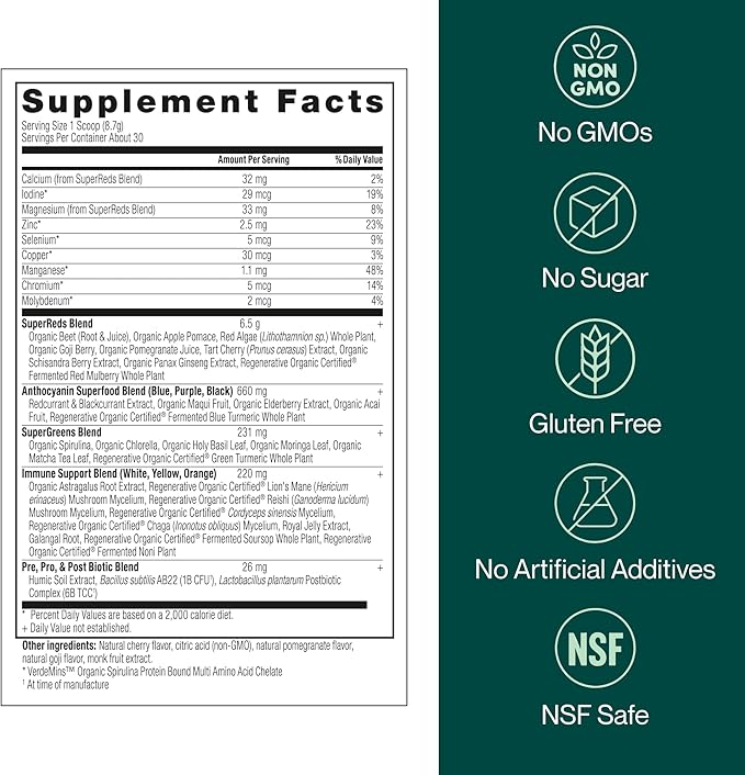 Liv120 Superfood Powder, Antioxidant Blend with Pomegranate, Turmeric, Mulberry, Soursop, Noni, Non-GMO, Vegan, for Energy, Detox, Immunity