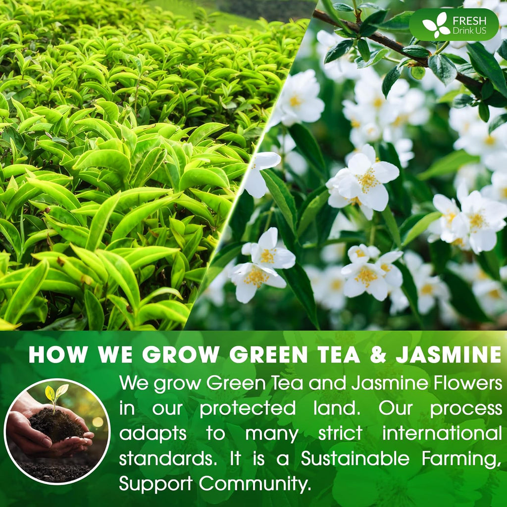 FreshDrinkUS, Premium 55 Jasmine Green Tea Bags, 100% Natural & Pure from Jasmine Green Tea. Jasmine Green Herbal Tea. Made with Natural Material Tea Bags. No Sugar, No Gluten, Vegan.