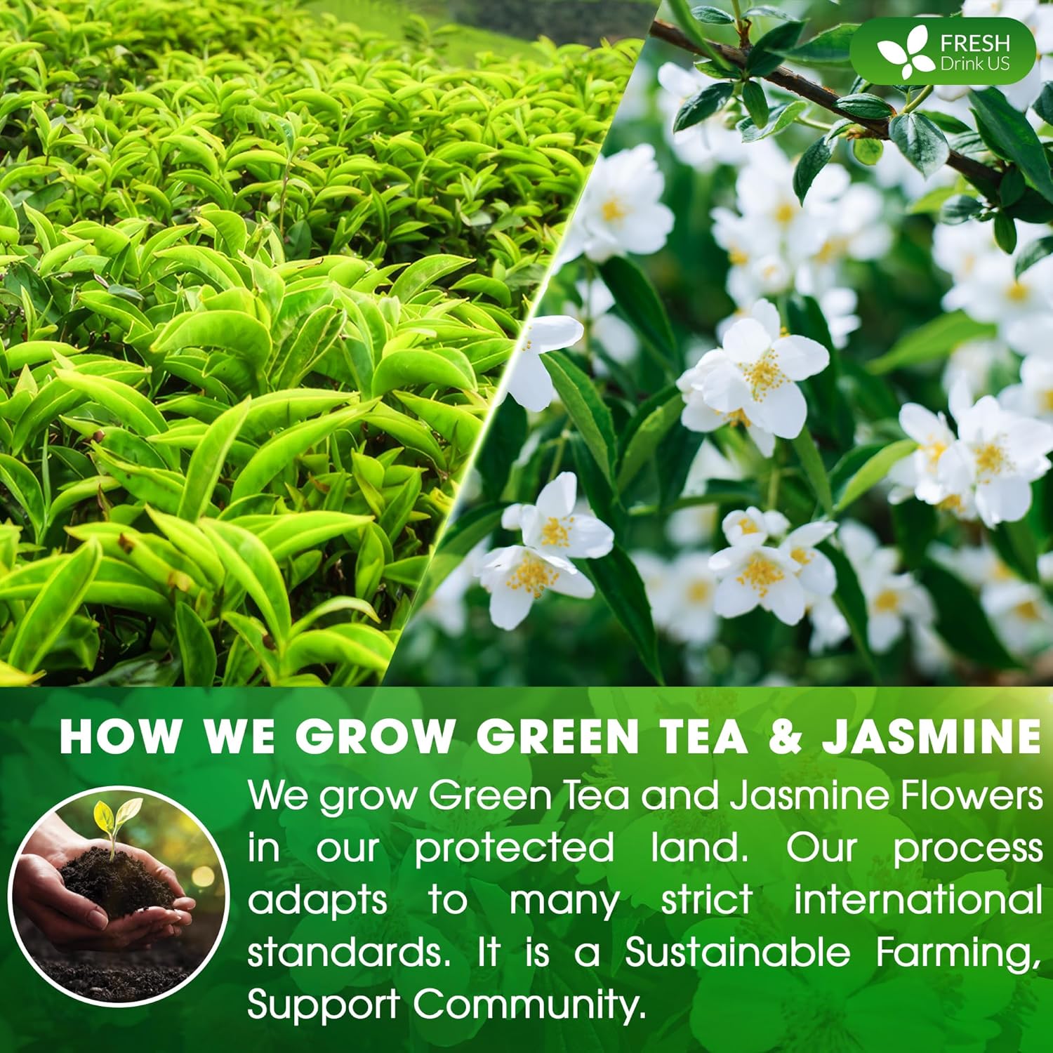 FreshDrinkUS, Premium 55 Jasmine Green Tea Bags, 100% Natural & Pure from Jasmine Green Tea. Jasmine Green Herbal Tea. Made with Natural Material Tea Bags. No Sugar, No Gluten, Vegan.