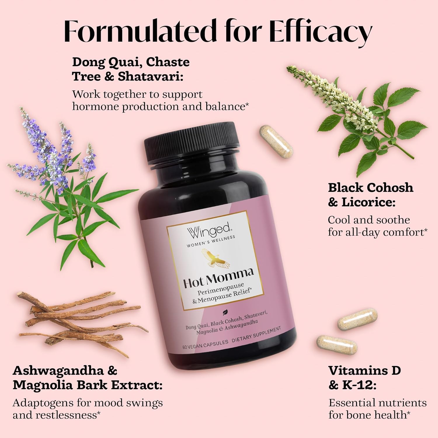 Winged Wellness Hot Momma Menopause Supplements for Women - Hormone-Free Menopause Relief Support for Hot Flashes & Night Sweats with Chaste Tree Berry, Multivitamins & More - 60 Vegan Capsules