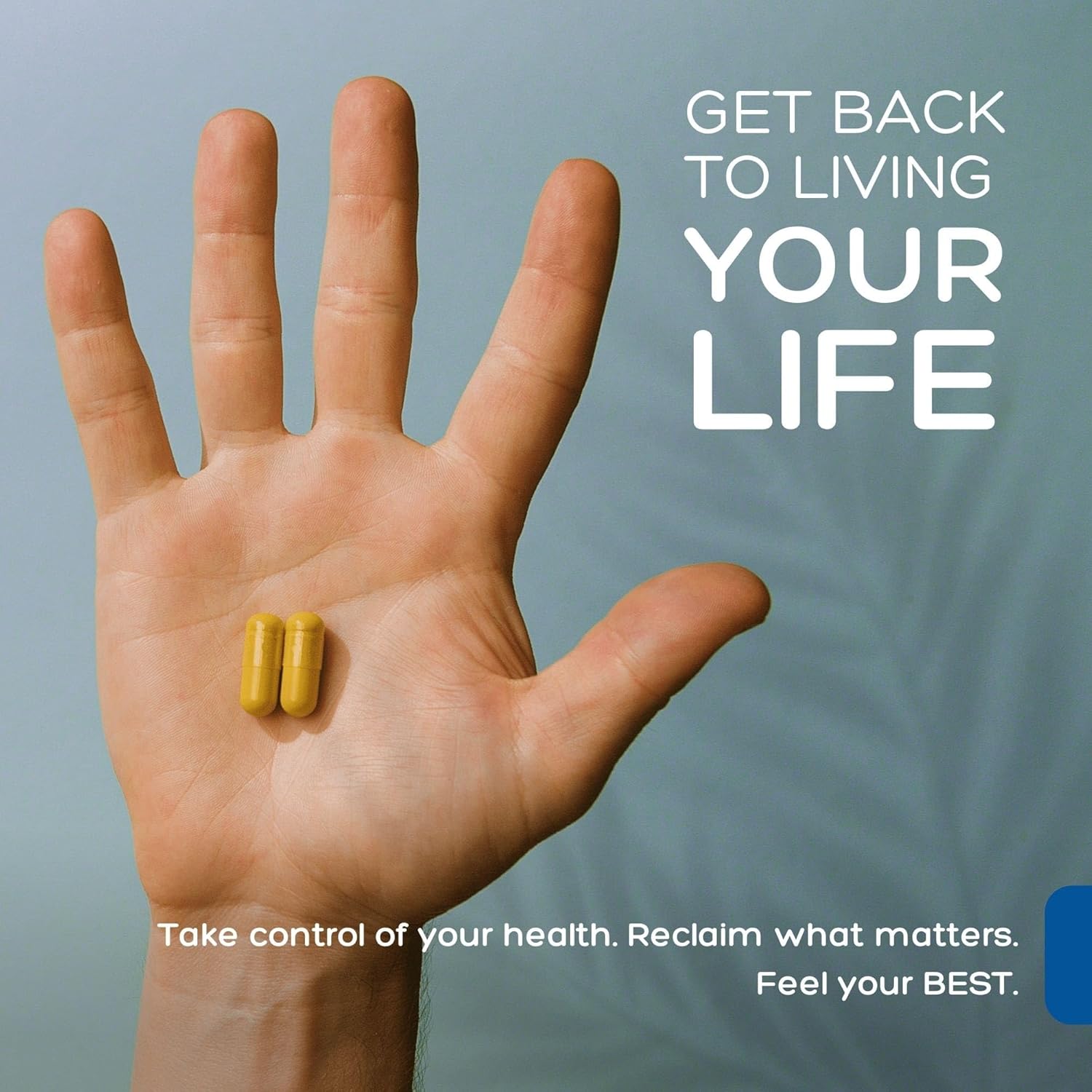 Premium Biofilm Defense Complex: Antioxidants, Herbs and Botanicals for Immune System Support & Digestive Health | 60 Capsules