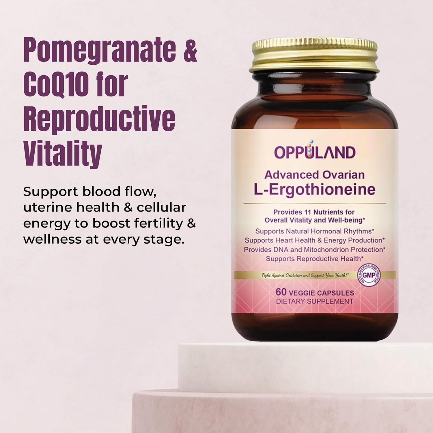 L-Ergothioneine Supplement for Women – Advanced Ovarian Support with Inositol, CoQ10, Vitex, and Multivitamins – Supports Fertility, Ovulation, Hormone Balance – 30 Servings