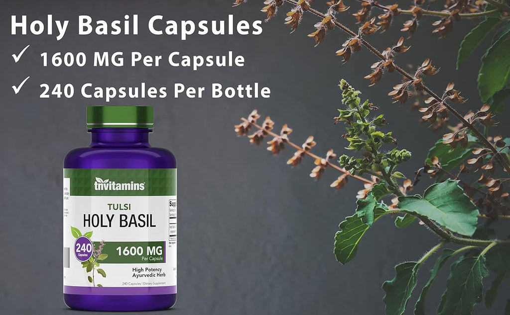 Holy Basil Capsules (1,600 mg Equivalent - 240 Capsules) | 8 Month Supply | AKA Tulsi | May Promote Stress & Frustration Relief* | Adaptogenic, & Ayurvedic Herb