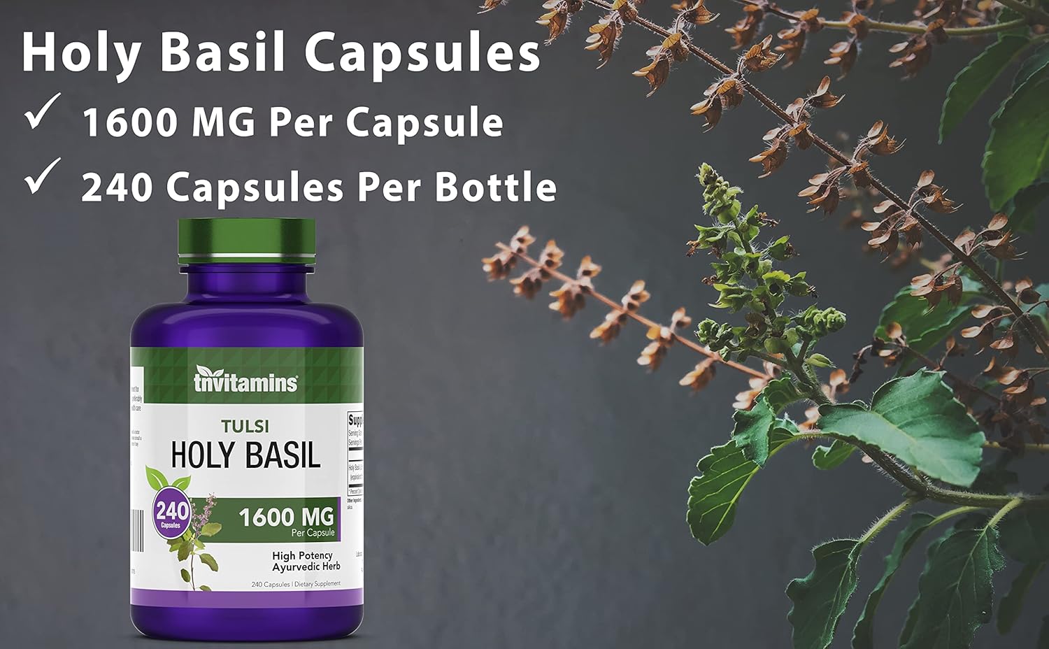 Holy Basil Capsules (1,600 mg Equivalent - 240 Capsules) | 8 Month Supply | AKA Tulsi | May Promote Stress & Frustration Relief* | Adaptogenic, & Ayurvedic Herb