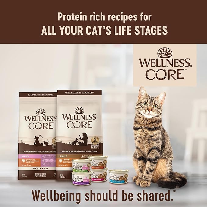 Wellness CORE Signature Selects Shredded Adult Wet Cat Food, Natural, Protein-Rich, Grain Free, 2.8 Ounce, 12 Pack (Chicken & Chicken Liver)