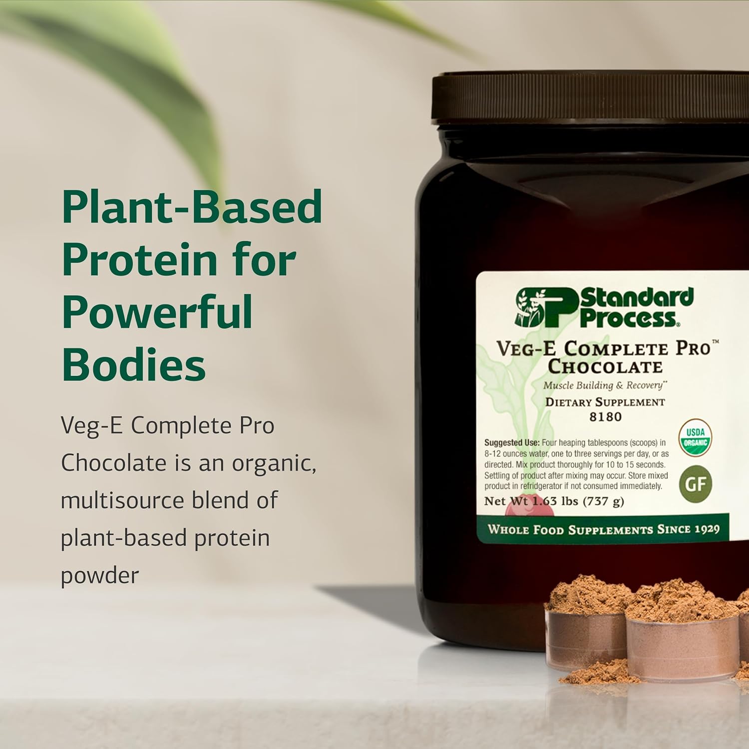 Standard Process Veg-E Complete Pro - Organic, Plant-Based Protein Powder for Muscle Building & Recovery - Supports Hair, Skin & Nails - Vegan & Gluten-Free - Chocolate, 18 Servings