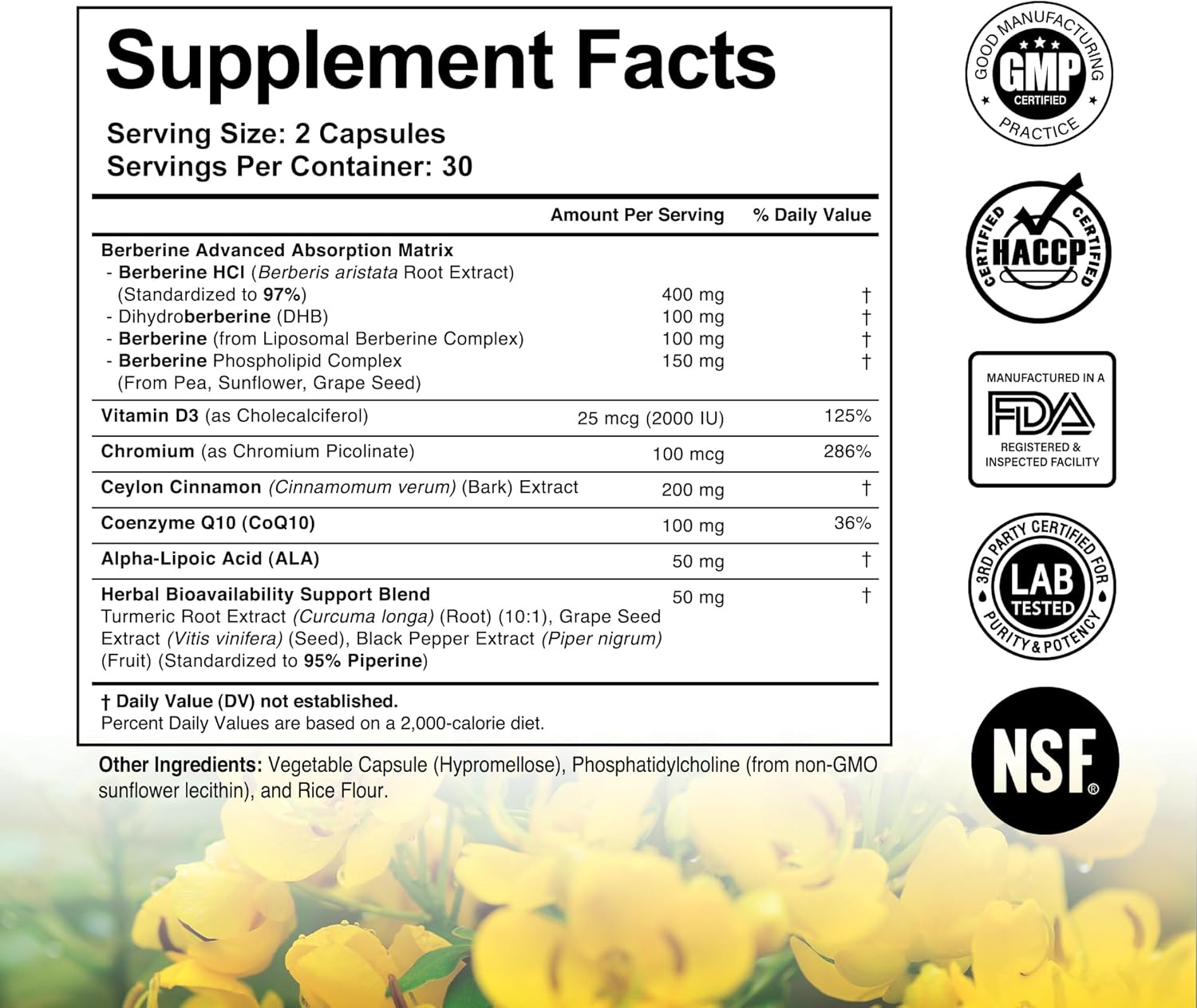 Liposomal Berberine Supplement – 3X Strength Berberine Matrix with DHB, Phospholipids, CoQ10, ALA, Vitamin D3, Chromium, Cinnamon – Advanced GLP-1 & Metabolic Support – 60 Count