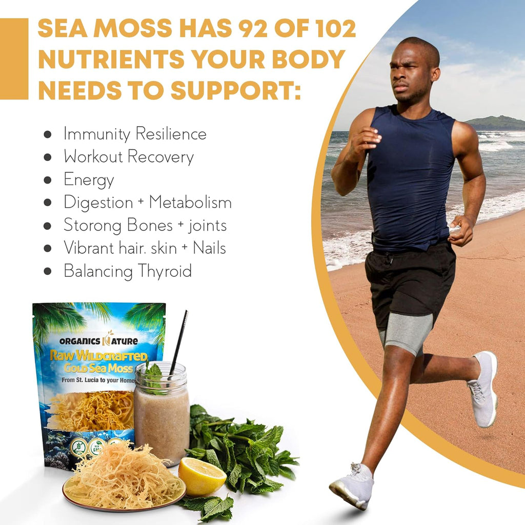 ORGANICS NATURE Dried Sea Moss Wildcrafted (2 Bags) & Black Seed Oil Capsules (2 Bottles) | Raw Gluten-Free, for Lung Detox, Immune System Support | Softgels, for Hair, Skin, Heart, Nigella Sativa