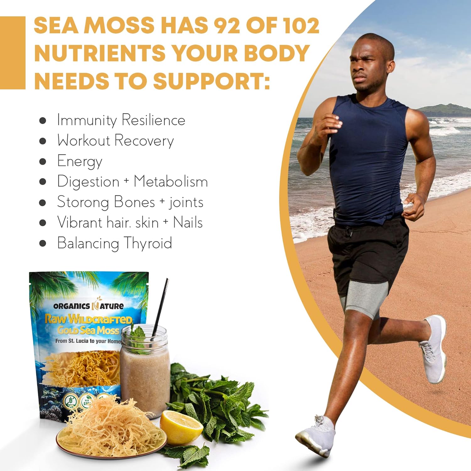 ORGANICS NATURE Dried Sea Moss Wildcrafted (2 Bags) & Black Seed Oil Capsules (2 Bottles) | Raw Gluten-Free, for Lung Detox, Immune System Support | Softgels, for Hair, Skin, Heart, Nigella Sativa