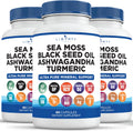 Sea Moss Black Seed Oil Ashwagandha Turmeric Bladderwrack Burdock - with Manuka, Honey Dandelion, ACV Black Pepper Gluten Free - 3-Pack