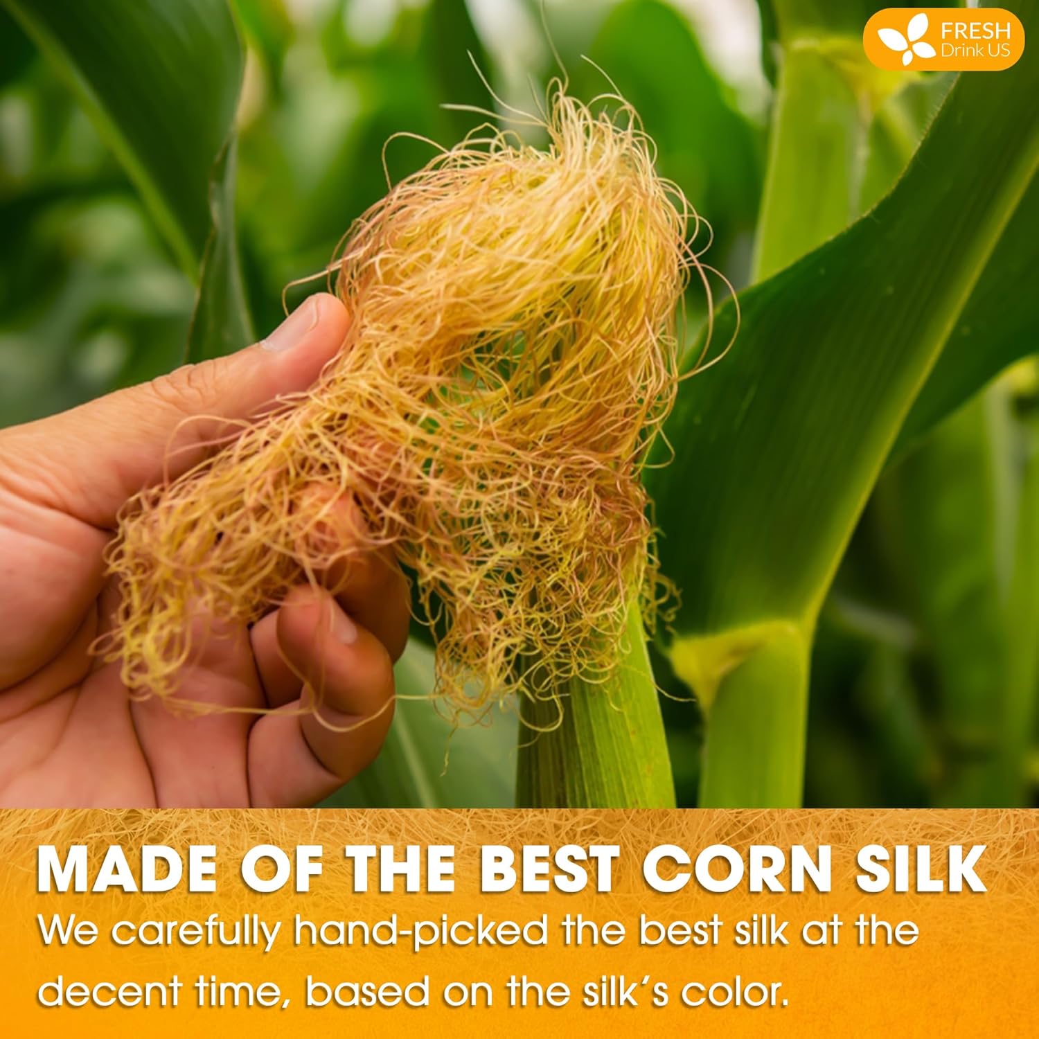 FreshDrinkUS, Premium 40 Tea Bags Corn Silk Tea, 100% Natural & Pure from Corn Silk. Corn Silk Herbal Tea. Clean Ingredients. Made with Natural Material Tea Bags. No Sugar, No Caffeine, Vegan. (40 Tea bags Corn Silk)