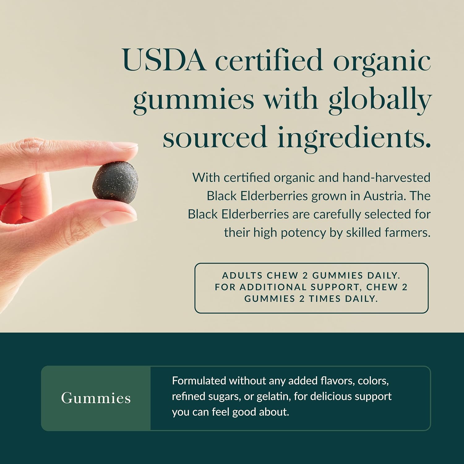 Gaia Herbs Black Elderberry (Sambucus Nigra) Extra Strength Gummies - Delicious Immune Support Supplement - Made with Certified Organic Black Elderberries for Immune System Support - 120 Gummies