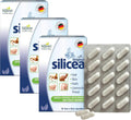 Hübner Original Silicea Gel One a Day Capsules for Hair, Skin, Nails, and Connective Tissue, Pure Colloidal Silica Gel Formula, No Additives or Preservatives, 30 Servings, 3-Pack