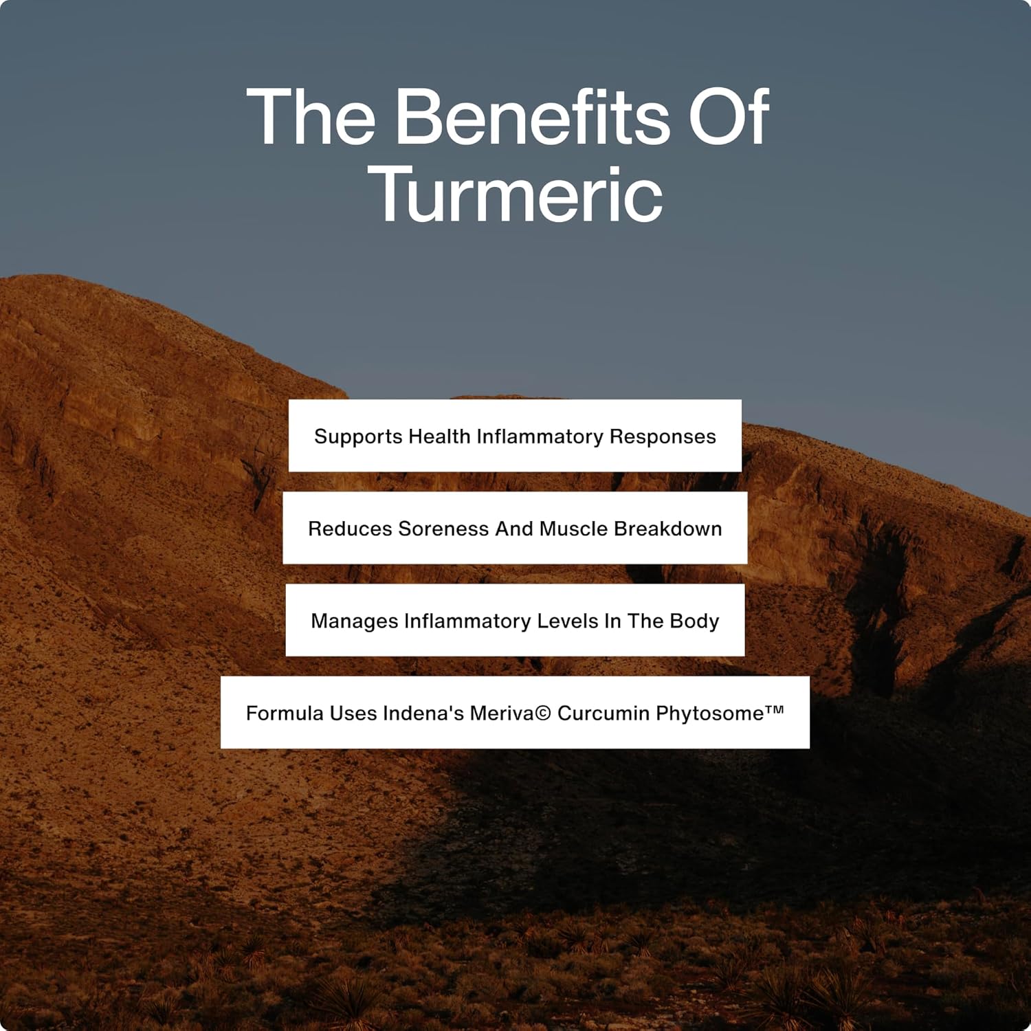 Momentous Turmeric Supplement 1,000 mg - Natural Antioxidant Turmeric Curcumin for Foundational Health - NSF Certified for Sport - Gluten-Free - 30 Servings - 60 Capsules