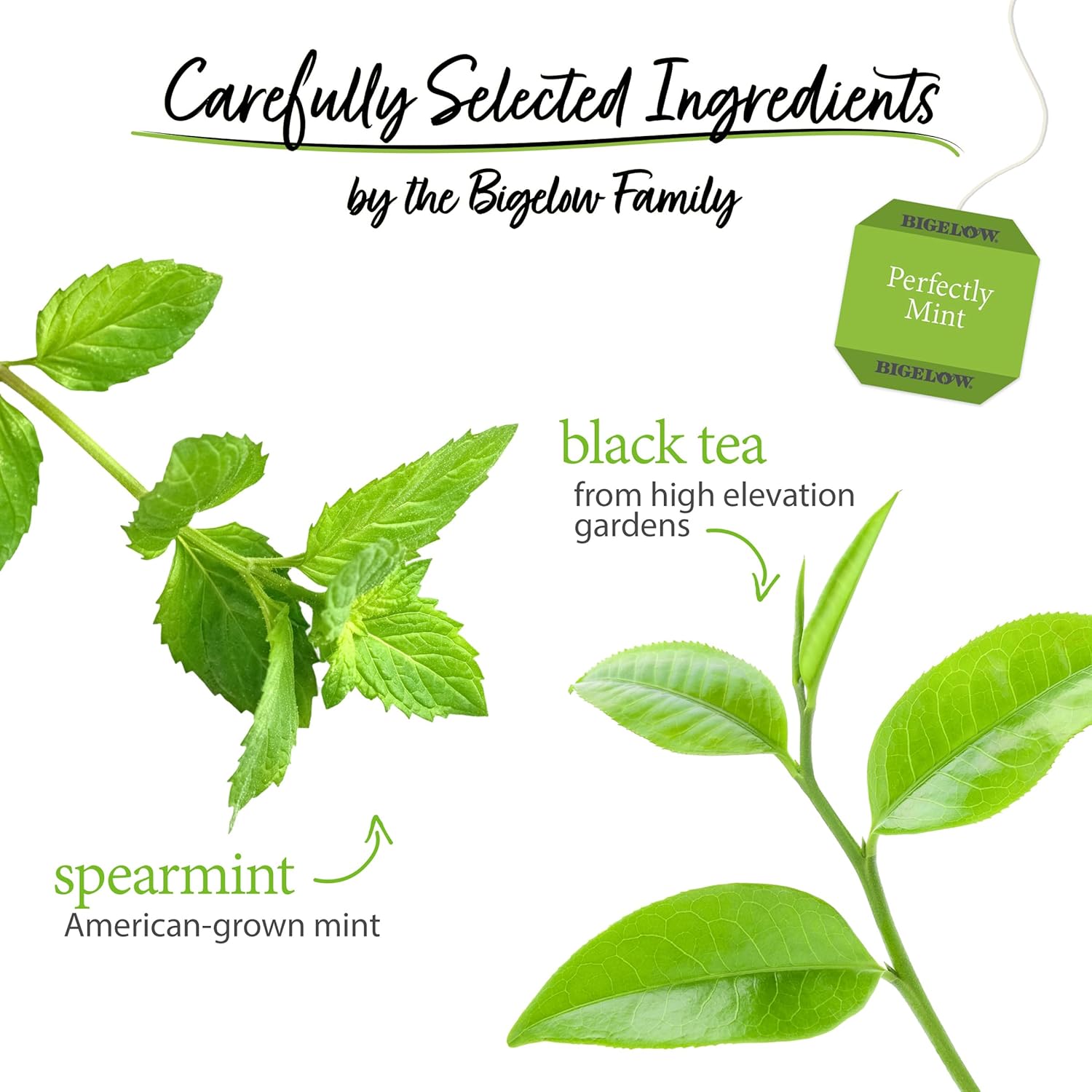 Bigelow Tea Perfectly Mint Black Tea, Caffeinated, 20 Total Tea Bags