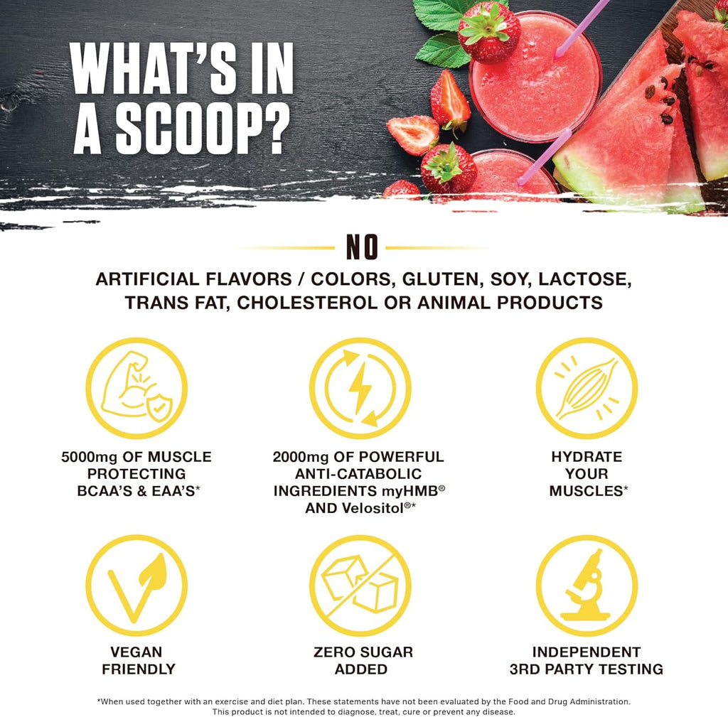 Ambrosia Hydroglyph Intraworkout Electrolytes Hydration Drink Mix | Sugar Free Electrolyte Powder with Amino Acids | Supports Lean Muscle During Fasting | 30 Servings | Strawberry Watermelon