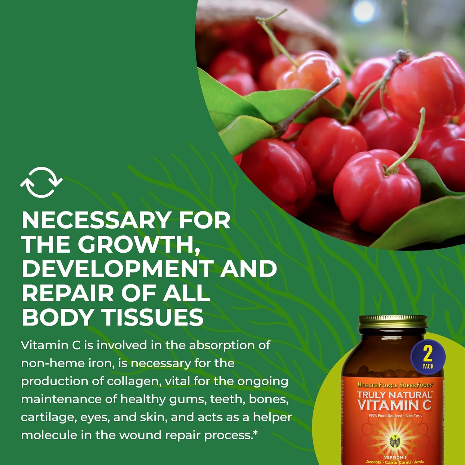 HEALTHFORCE SUPERFOODS Truly Natural Vitamin C - Immune Support Supplement with Camu Camu Berry - Vitamin C Supplement for Immune Health - Vegan, Non-GMO - 240 Vegan Caps, 60 Servings (Pack of 2)
