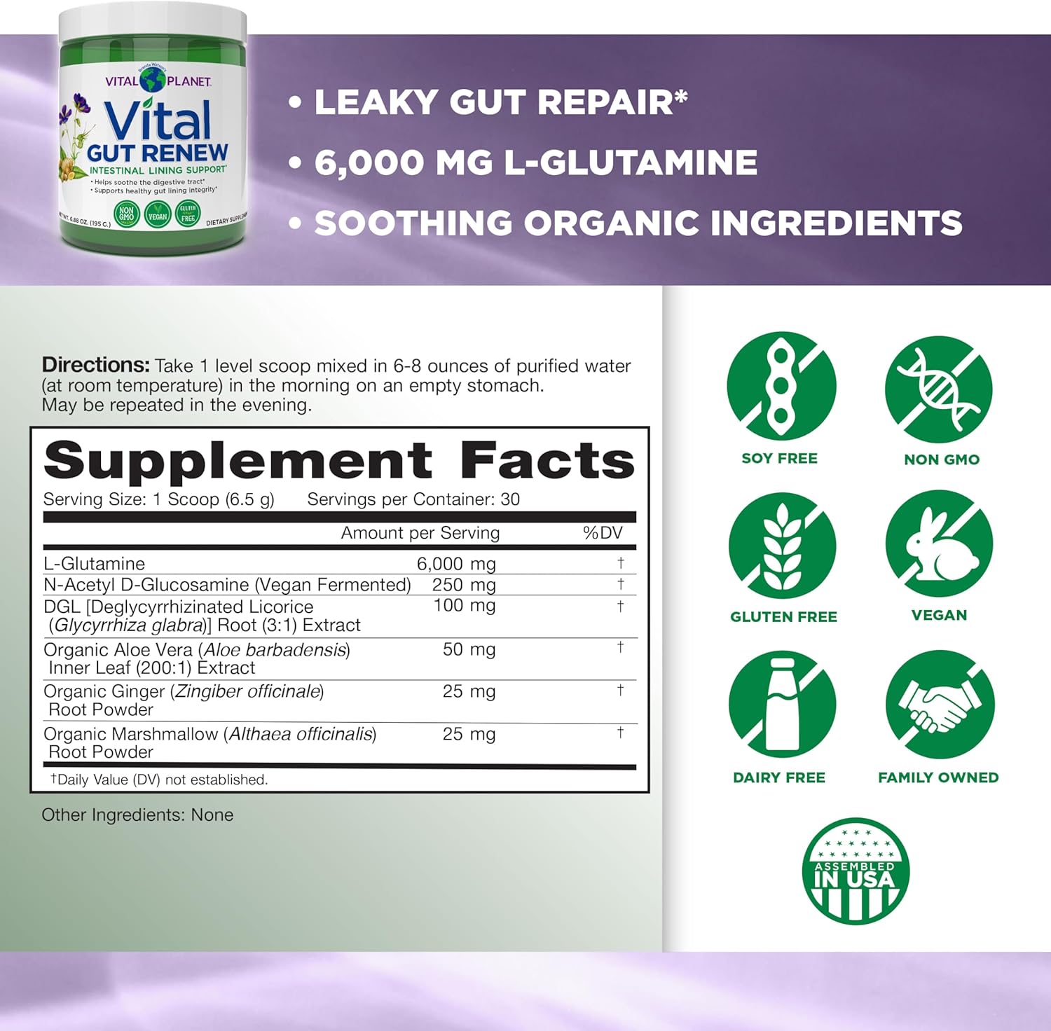 Vital Planet - Vital Gut Renew Powder Supplement for Leaky Gut Repair with L-Glutamine, Marshmallow and Ginger Root, DGL Licorice Root and Organic Aloe Vera, L Glutamine 6000mg 6.88 oz