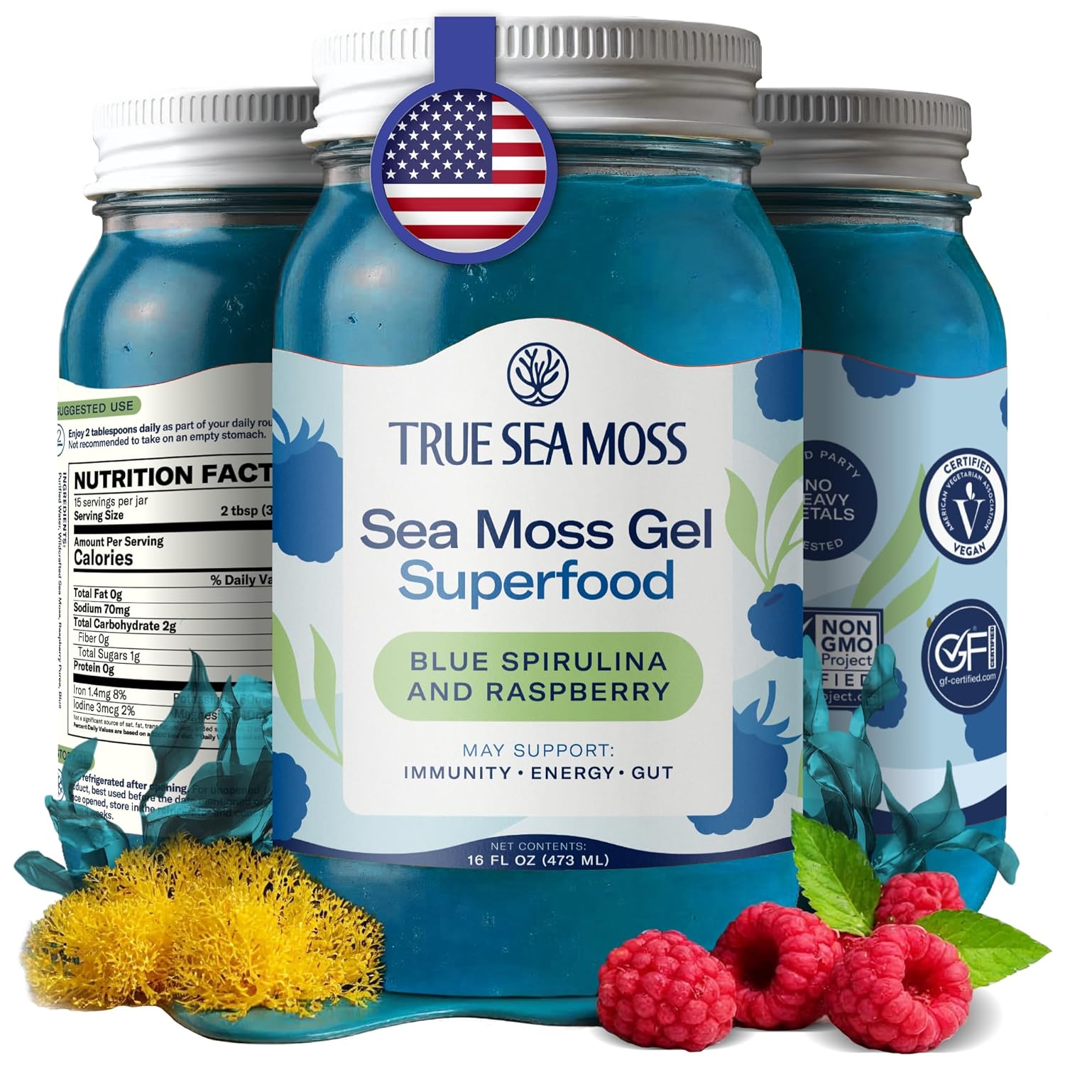 TrueSeaMoss Sea Moss Gel – Made in USA – Wildcrafted Seamoss, Fresh Fruits & Sea Vegetables – Blue Spirulina, Pack of 1 (Labels may Vary)