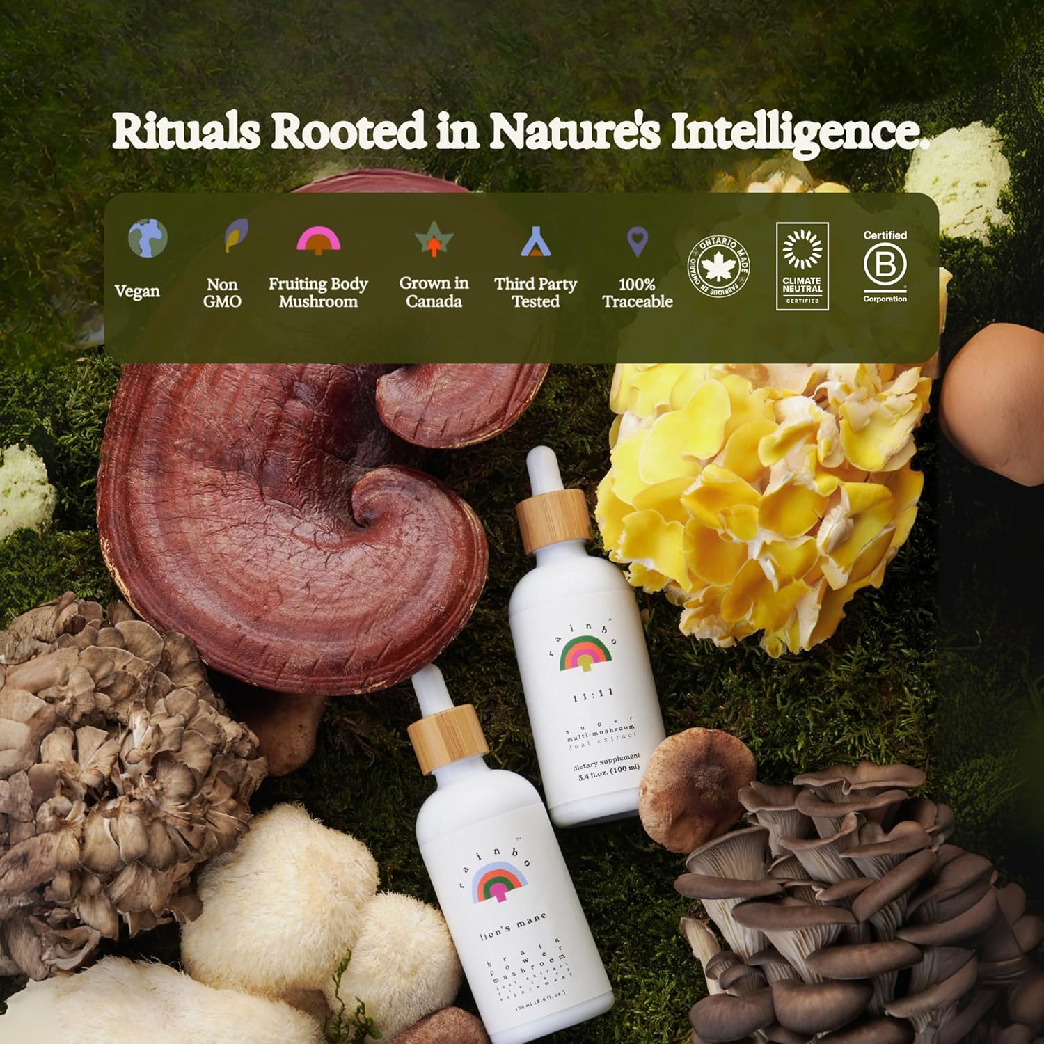 Reishi Mushroom Tincture - Dual Extract Mushroom Supplement - Immune Support, Mood, Sleep, Liquid Reishi Supplement, Vegan, Non GMO, 3.4 fl oz