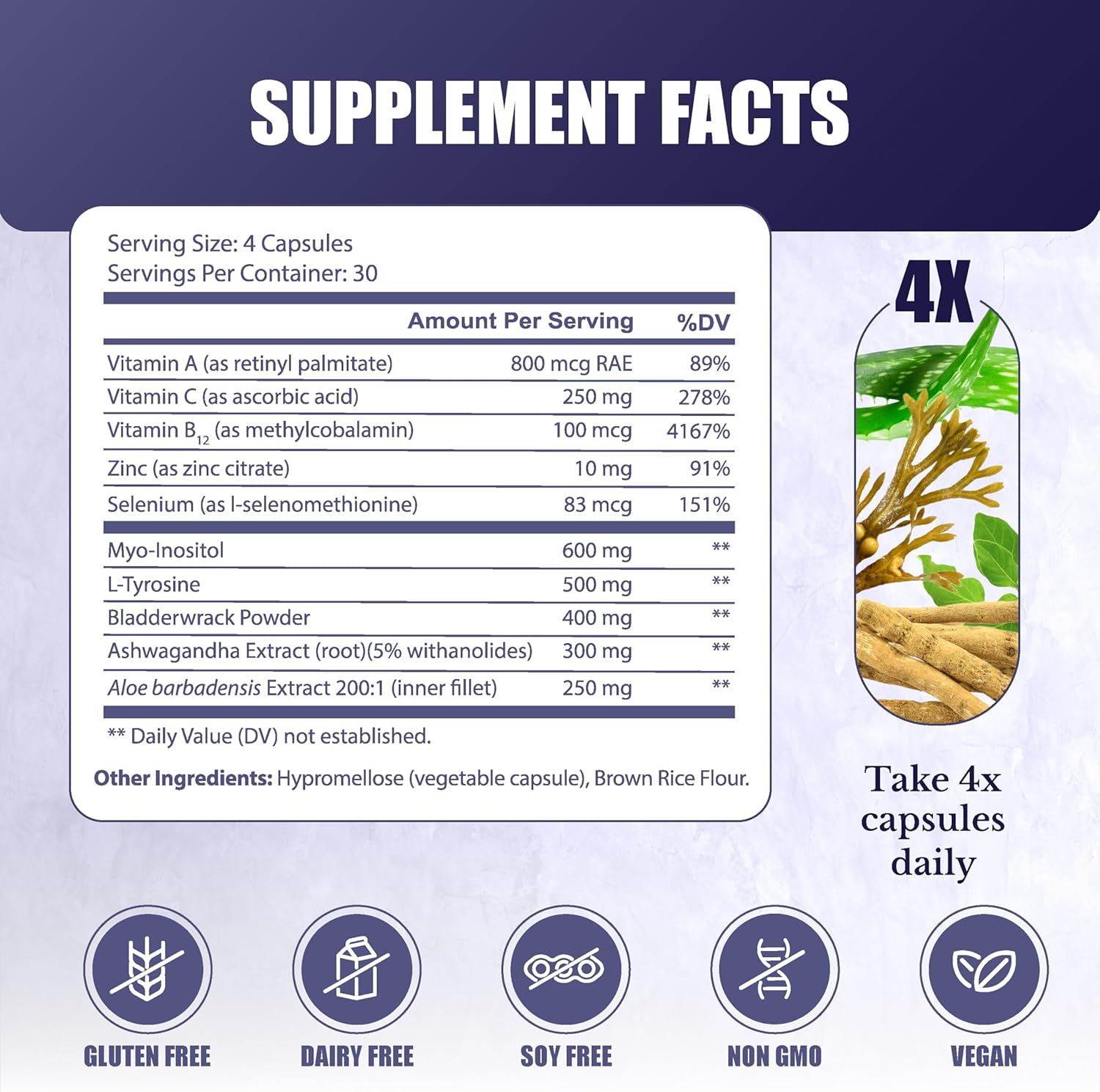 Thyro Support - Thyroid Supplement with Selenium, Bladderwrack & Zinc - Thyroid Health for Women & Men - Vegan, Non GMO, Gluten Free - 120 Capsules
